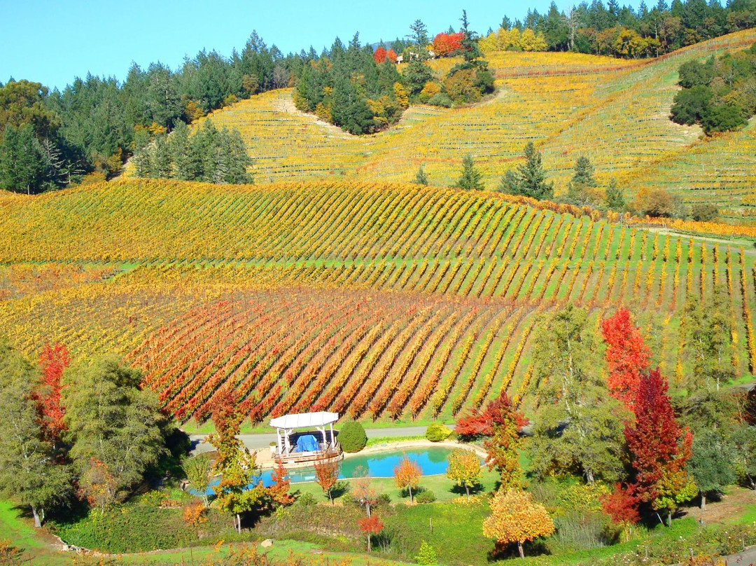 Diamond Creek Vineyards-卡利斯托加必去景点