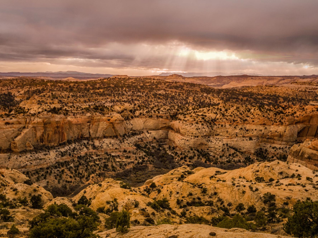 Scenic Byway Route 12景点图片