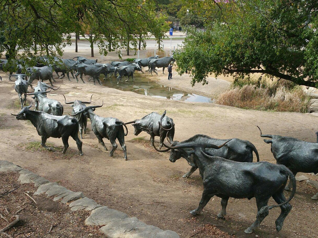Dallas Cattle Drive Sculptures景点图片