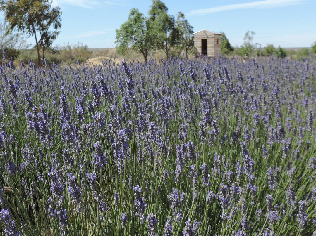 Chacra el refugio景点图片