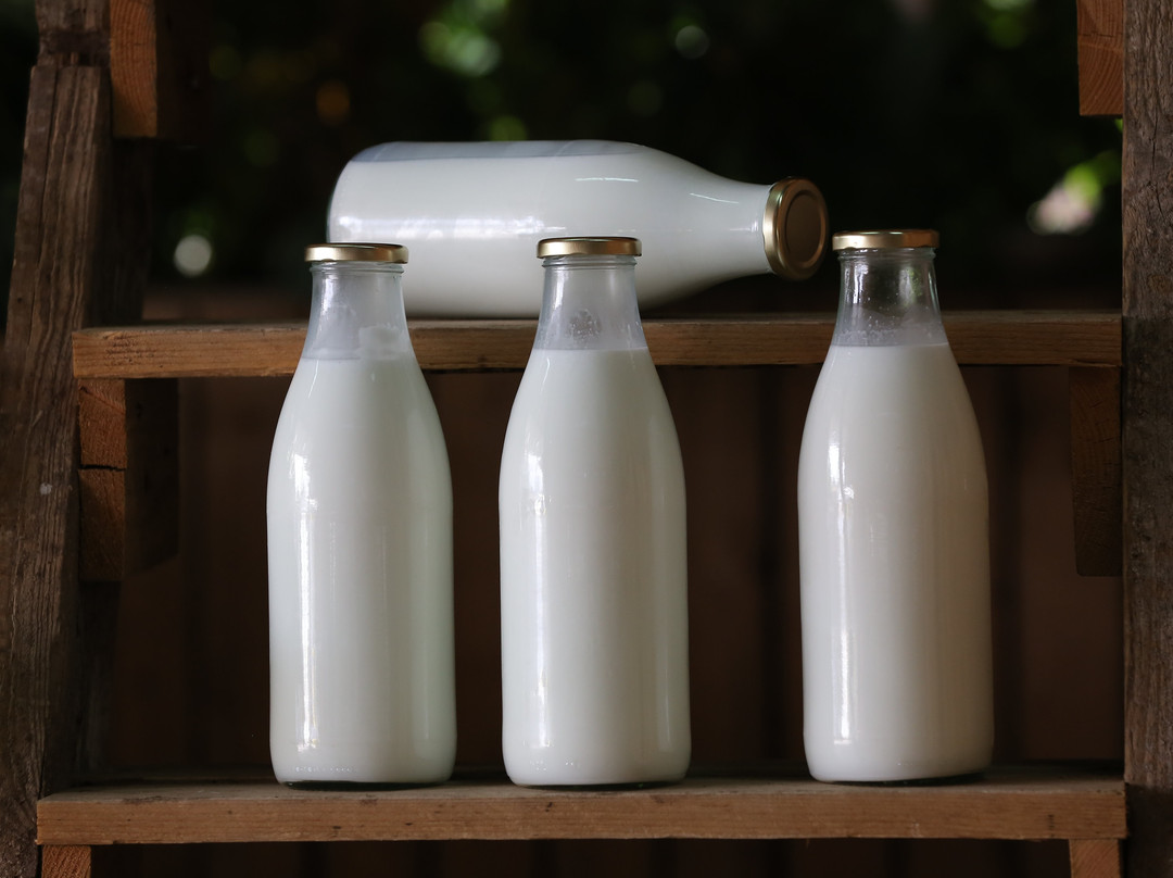 Shmueli Farm-Be'er Tuvia必去景点