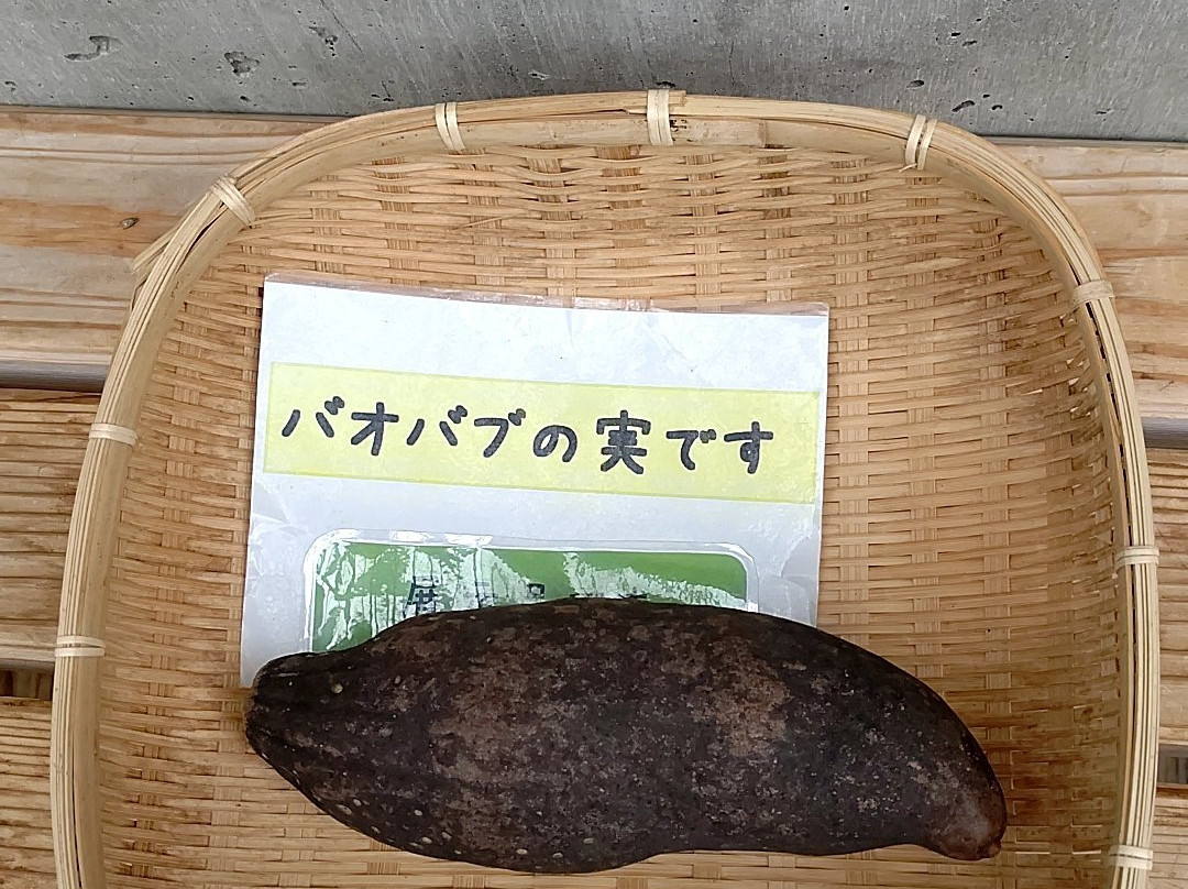 Tokiwa Museum景点图片