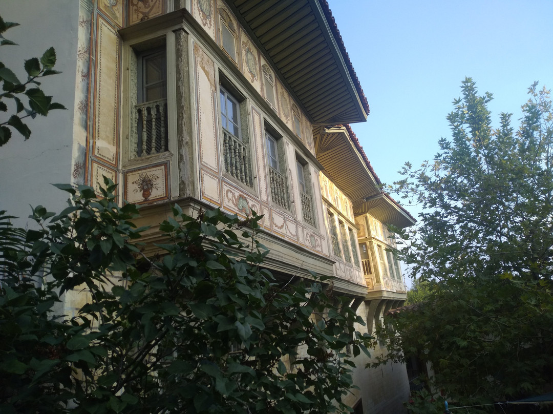 Birgi Cakiraga Mansion景点图片