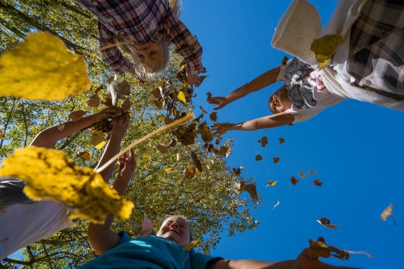 比肯霍夫OTP酒店-官方