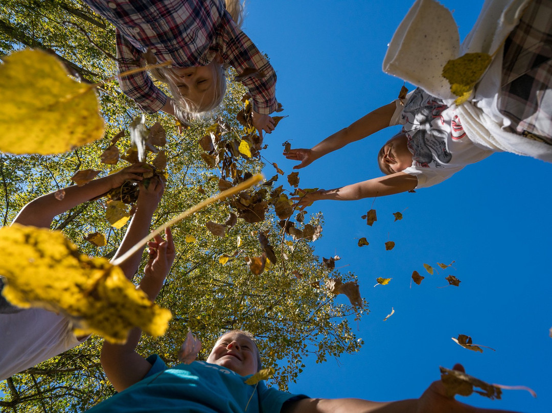 比肯霍夫OTP酒店主图