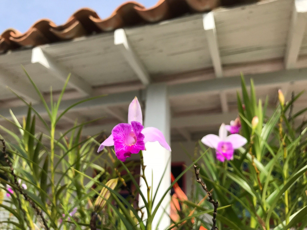 Finca Hotel Cabanas y Flores主图