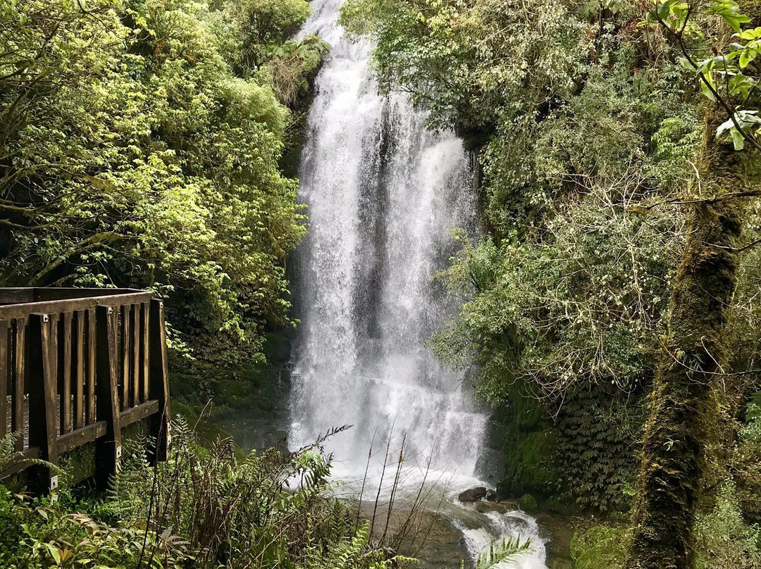 Waitanguru Falls景点图片