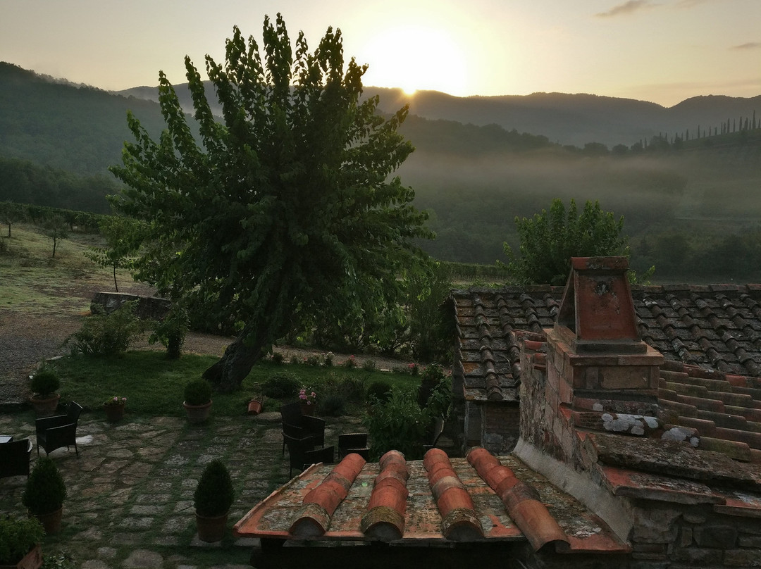 Podere Terreno Alla Via Della Volpaia主图