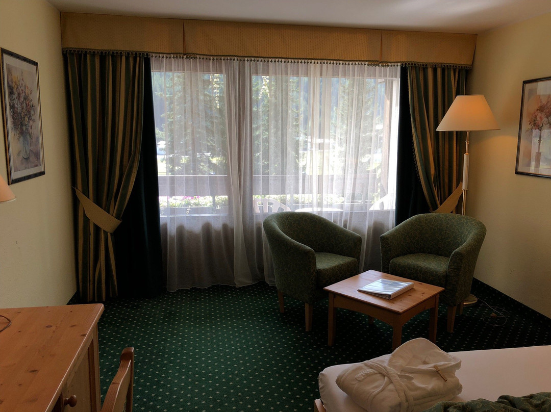 阿尔卑霍夫酒店主图