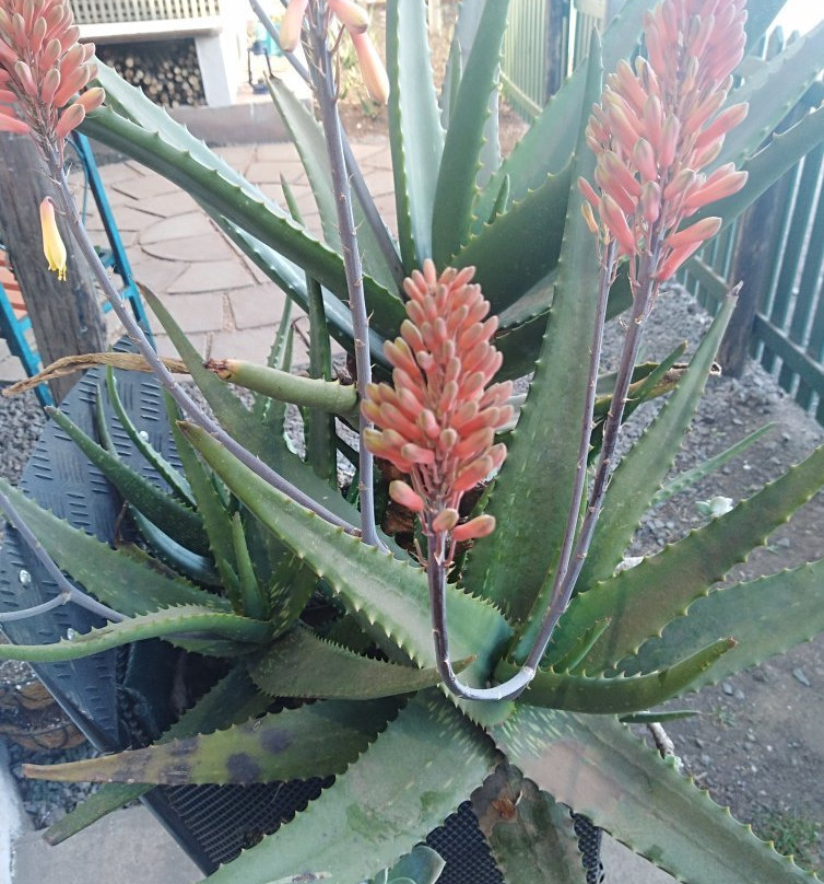 Dunning Country House主图