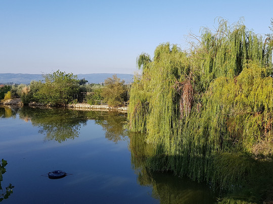 Agriturismo Cameli主图