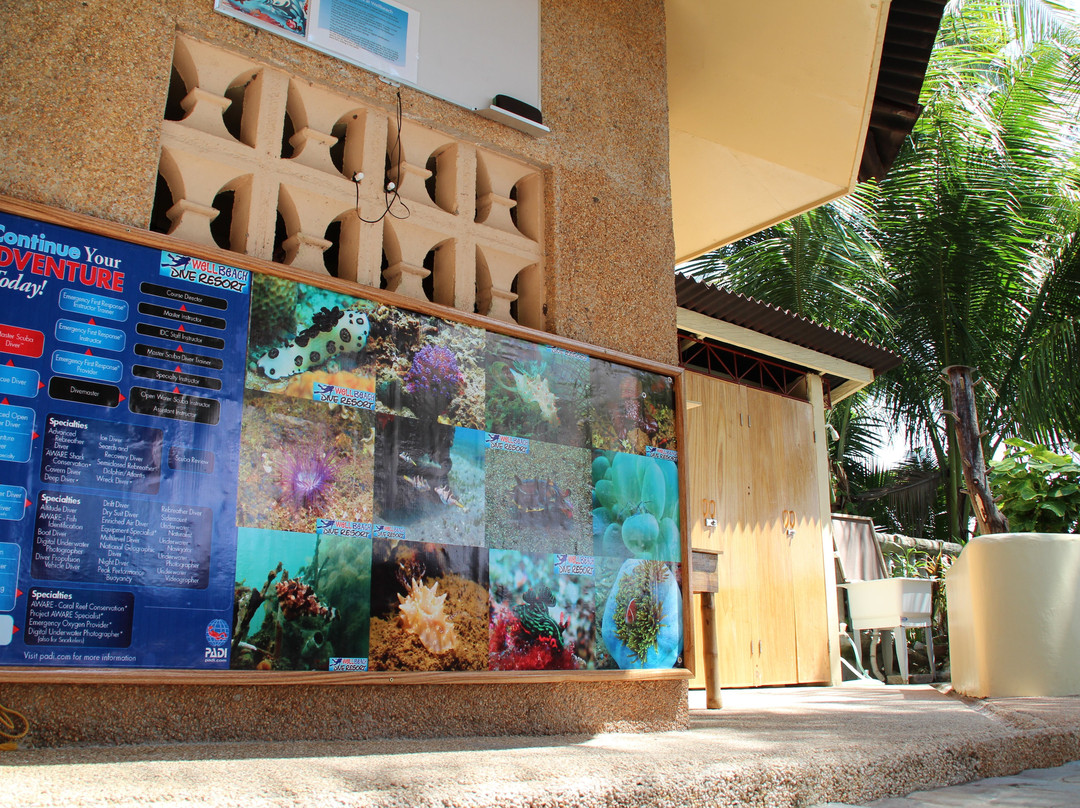 好滩潜水度假村主图