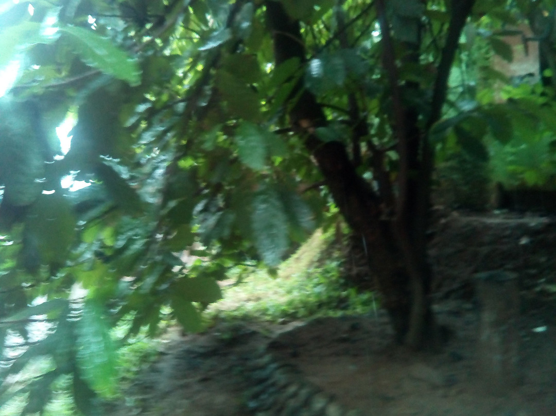 New Ranweli Spice Garden-康提必去景点