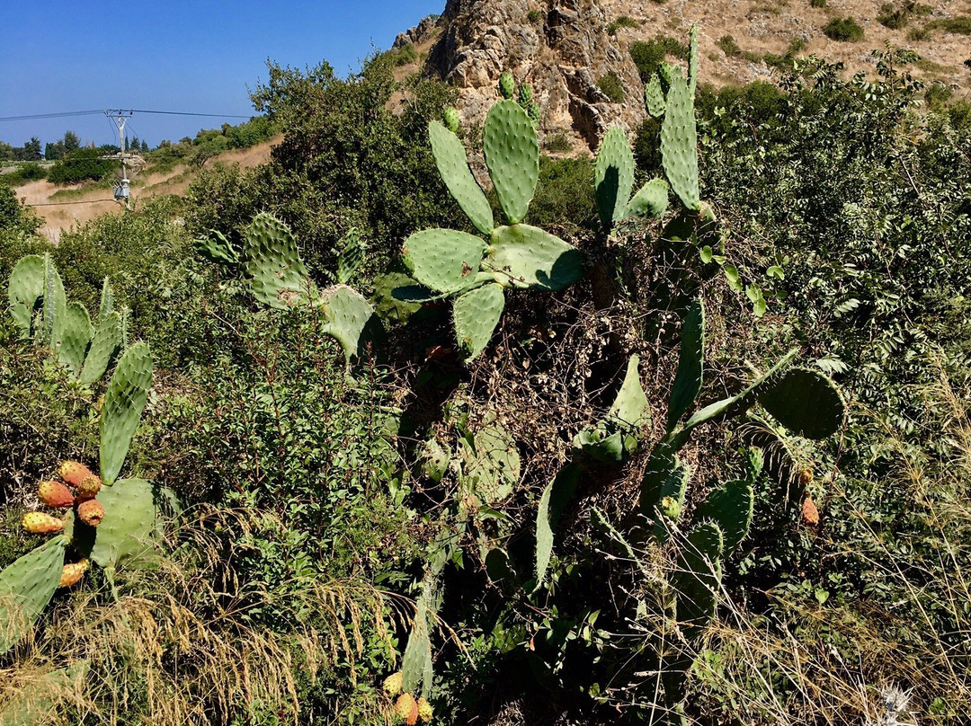 Nahal Mearot Nature Preserve-Ein Hod必去景点