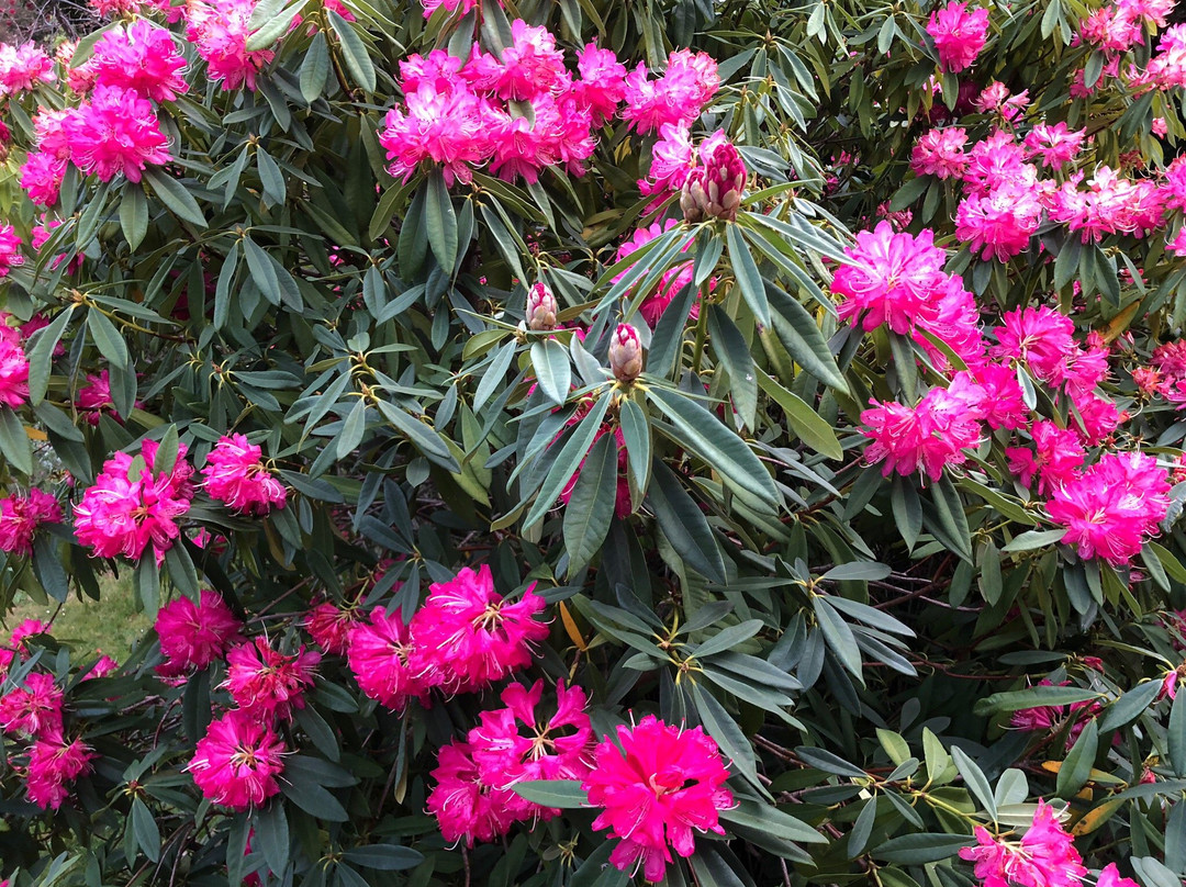 moments Mountain Retreat主图