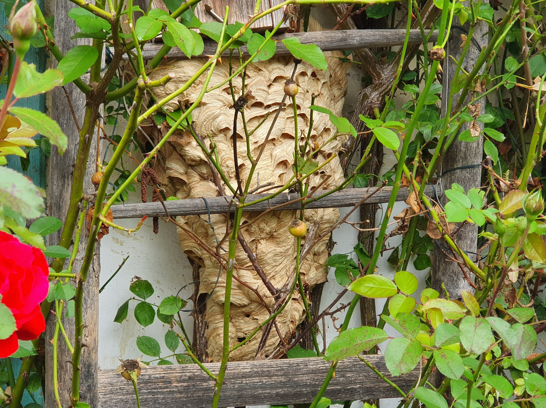 Naturidyllhotel Landhofmuhle主图