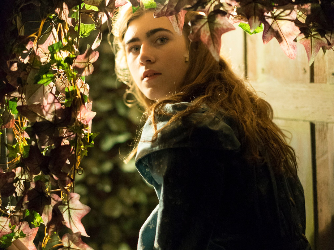 New Village Arts Theatre-卡尔斯巴德必去景点