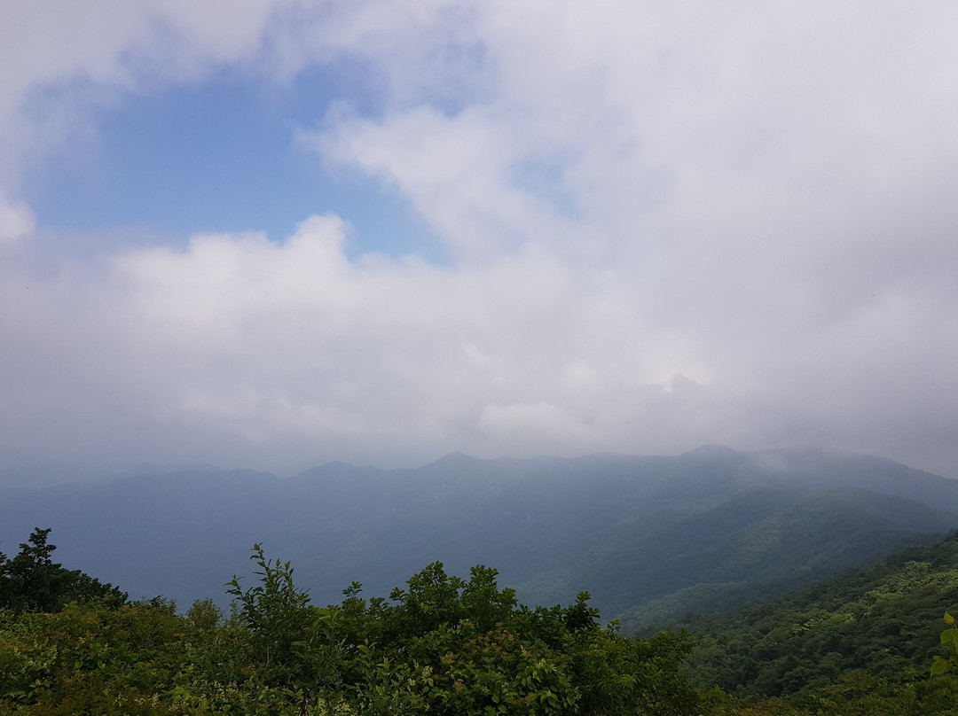 Bangtaesan Recreational Forest-麟蹄郡必去景点