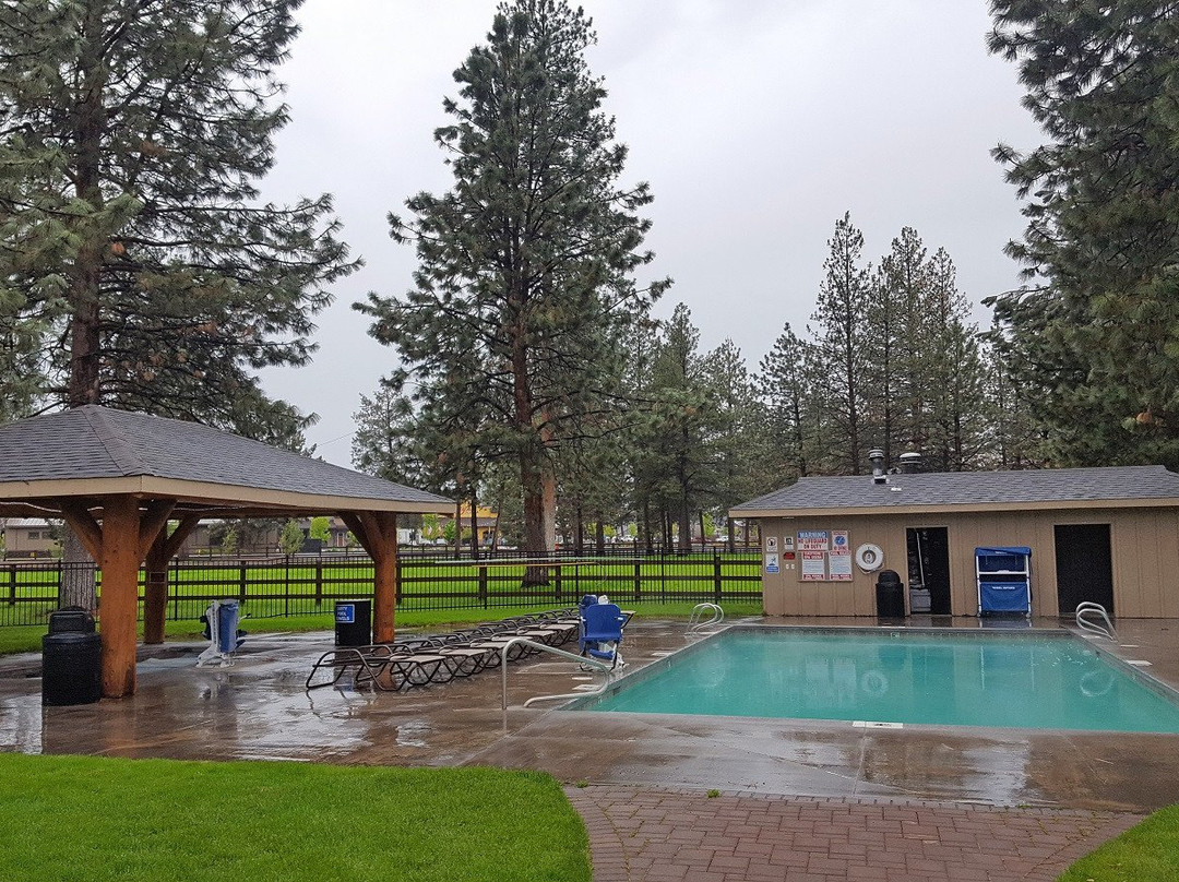 Best Western Ponderosa Lodge主图