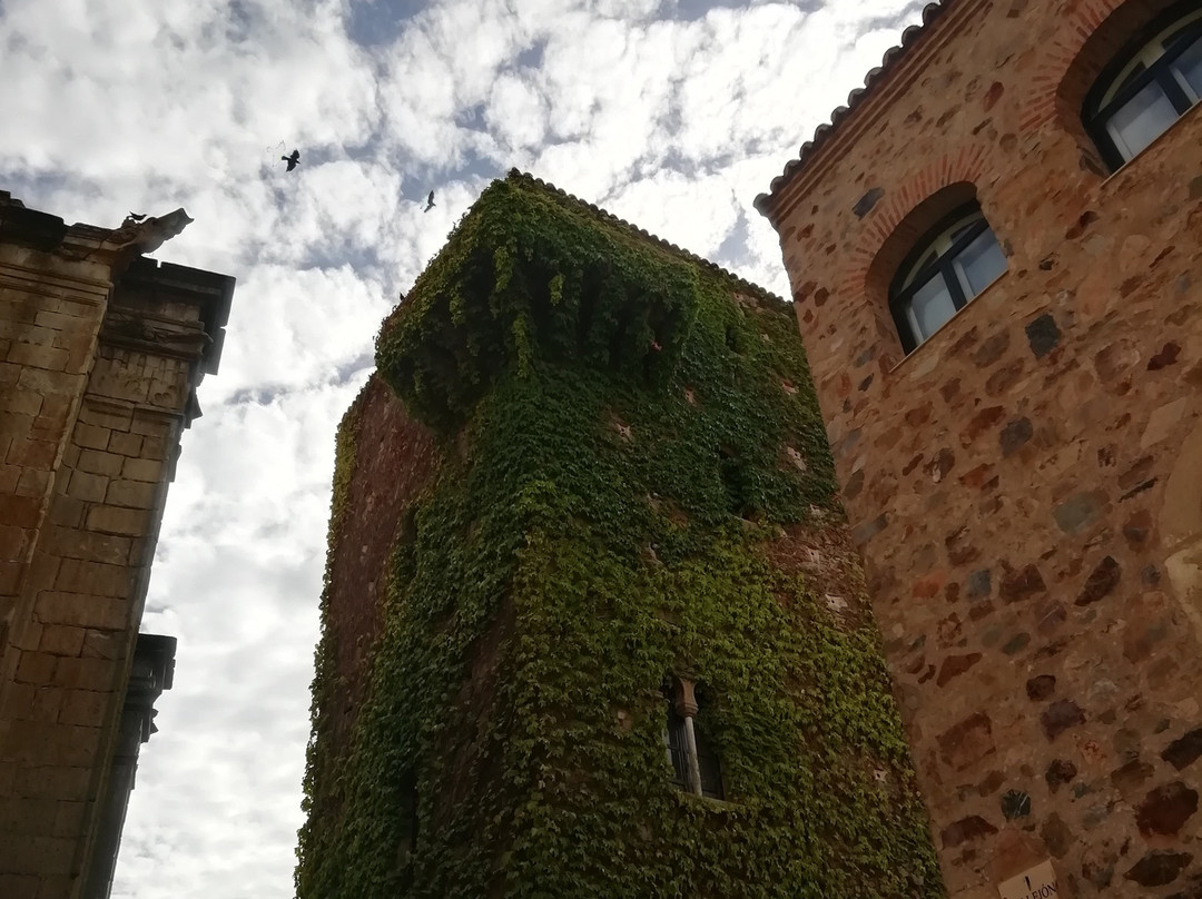 Asociacion Guias de Turismo de Caceres-卡塞雷斯必去景点
