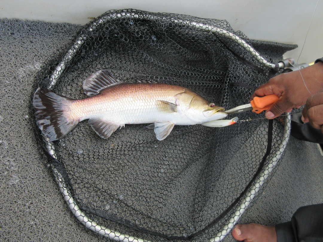 Sportfishing Lanka-科伦坡必去景点
