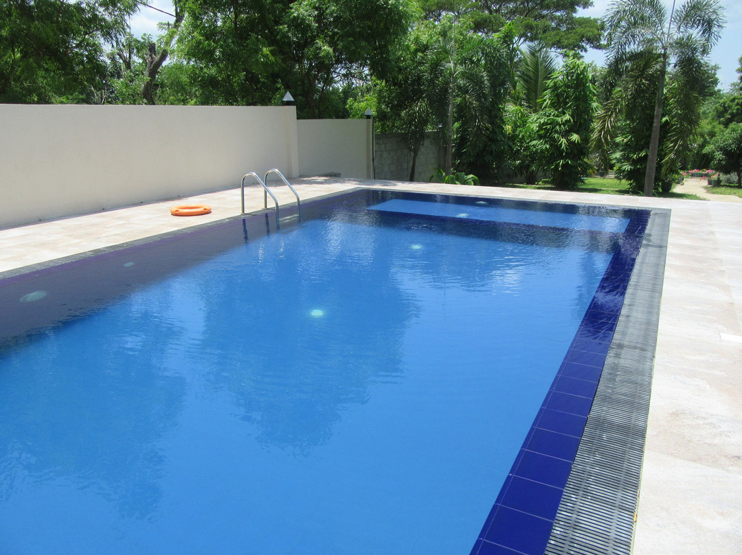 Jungle Paradise主图