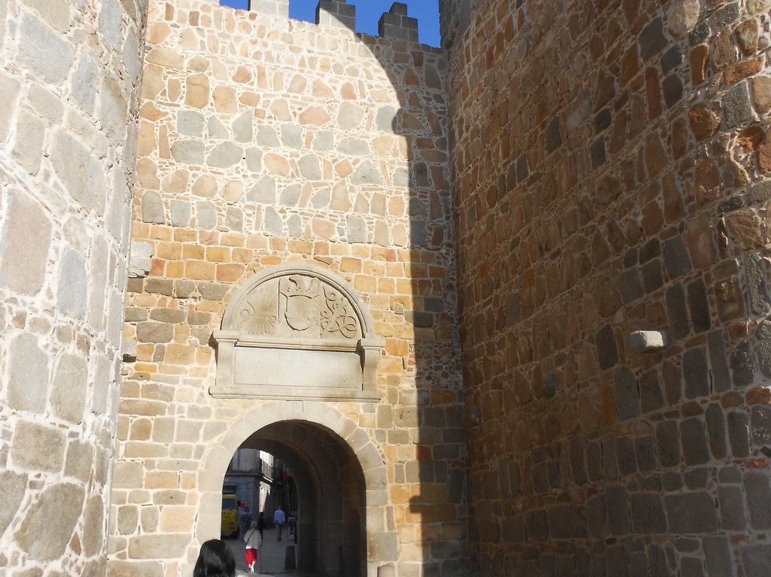 Puerta del Alcazar景点图片