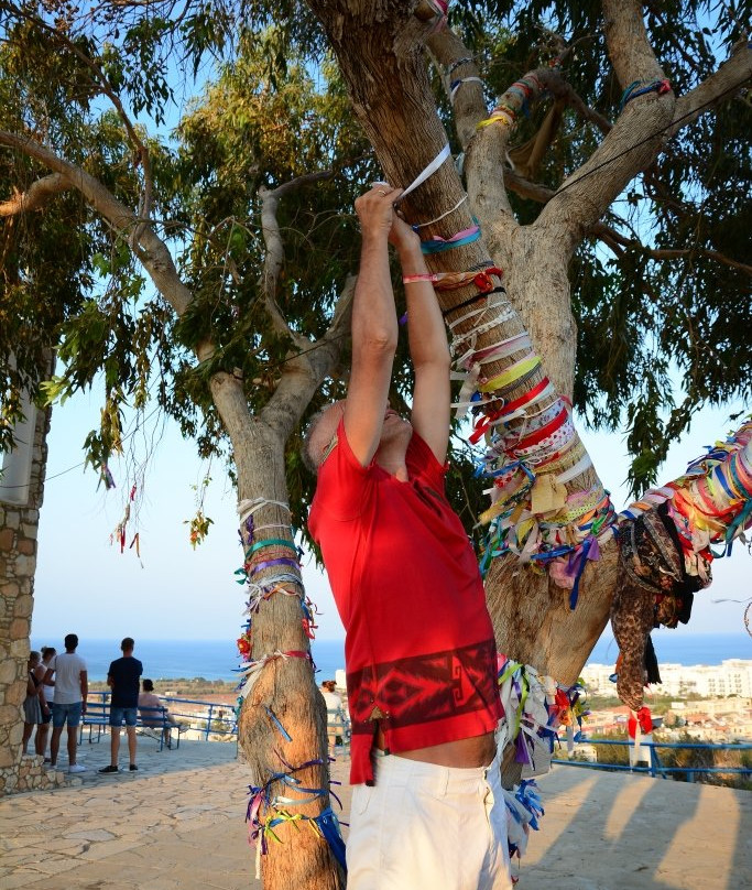 Church of Profitis Elias-普它肋斯必去景点