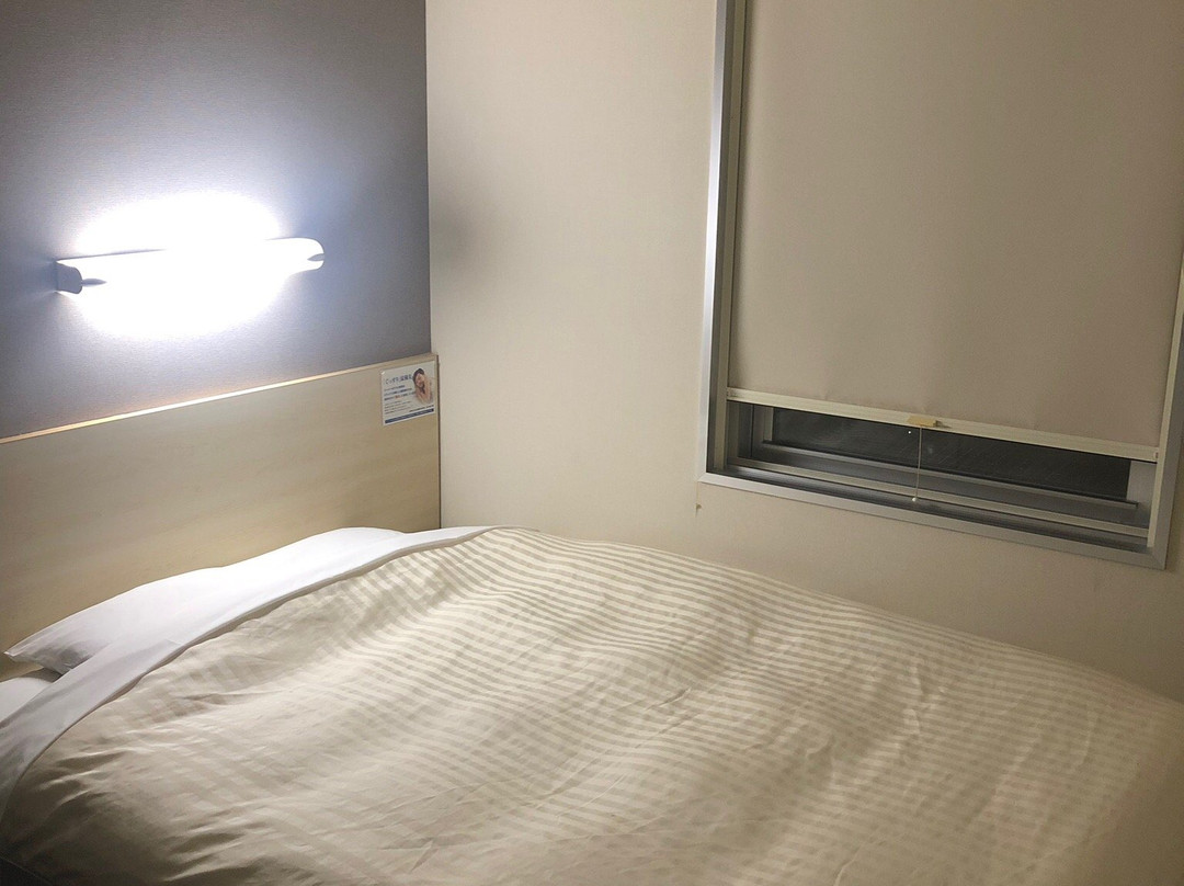 Super Hotel Takaoka Ekinan主图