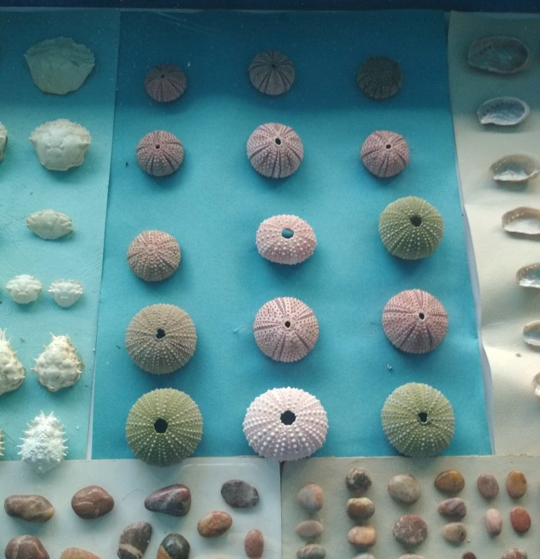 Kini Aquarium-Kini必去景点