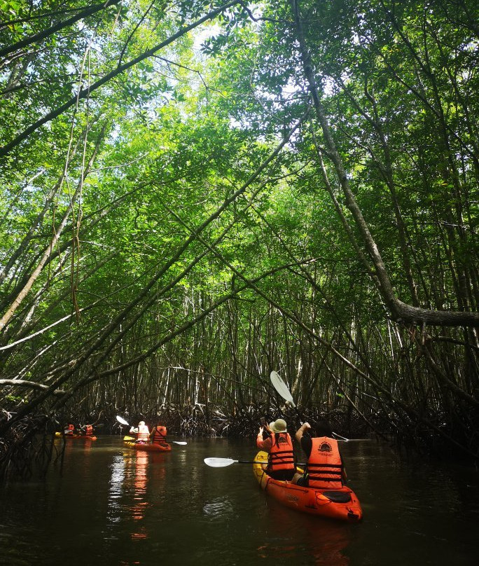 Sea Kayak Krabi景点图片