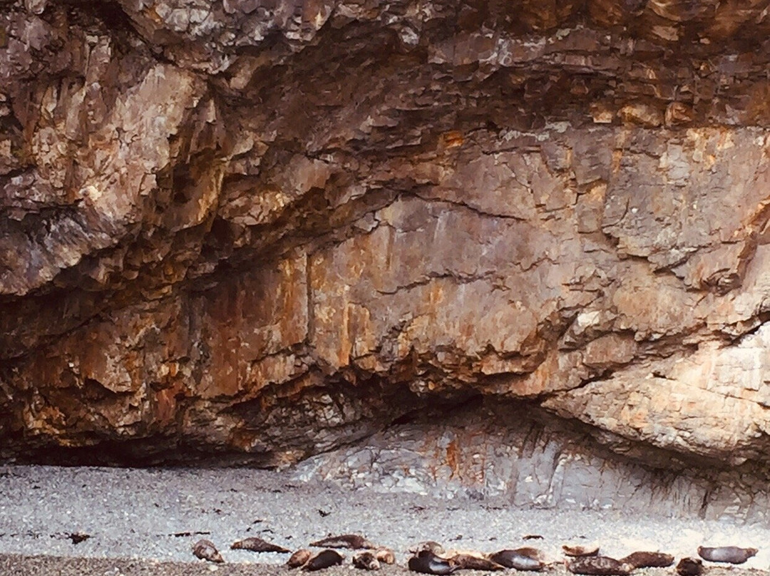 Ramsey Island Nature Reserve-St. Davids必去景点