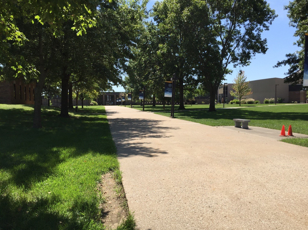 Daum Museum of Contemporary Art-锡代利亚必去景点