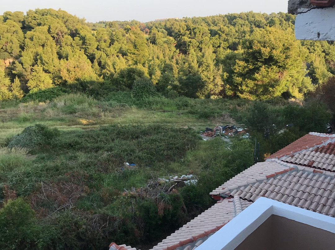 Aristoteles Beach Hotel主图