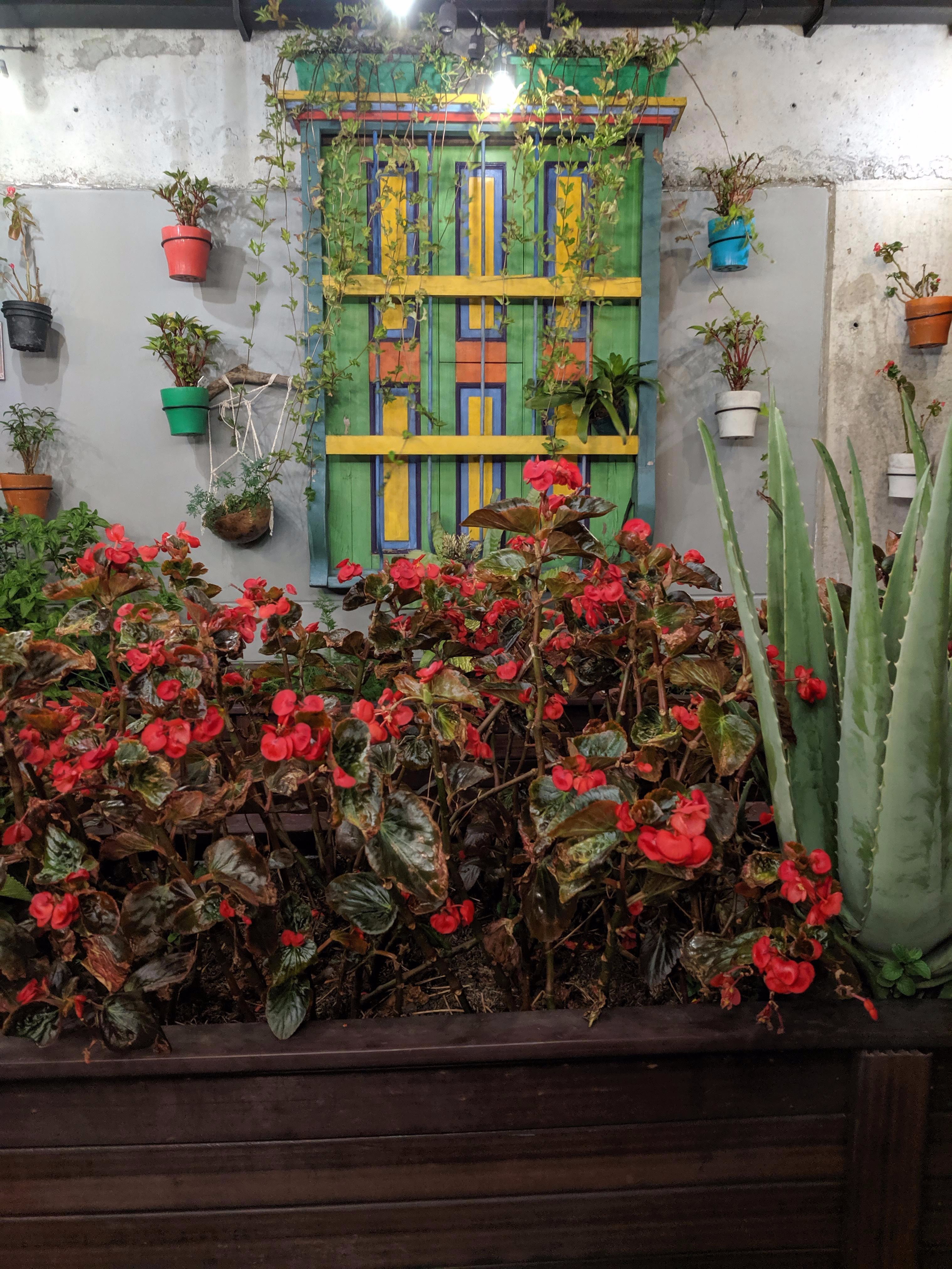 Los Patios Hostel-浴室