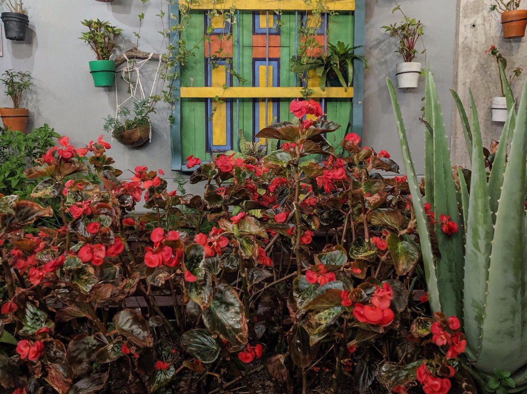 Los Patios Hostel