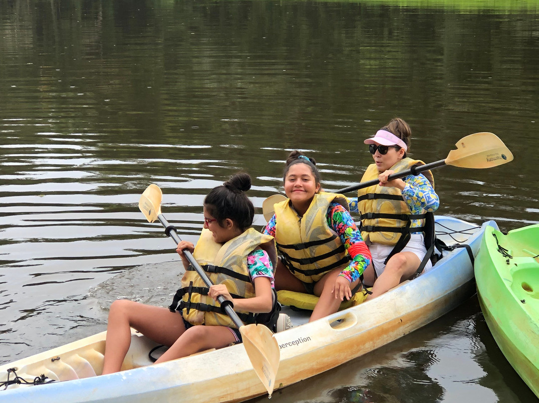 Jungle Land Panama Floating Lo主图