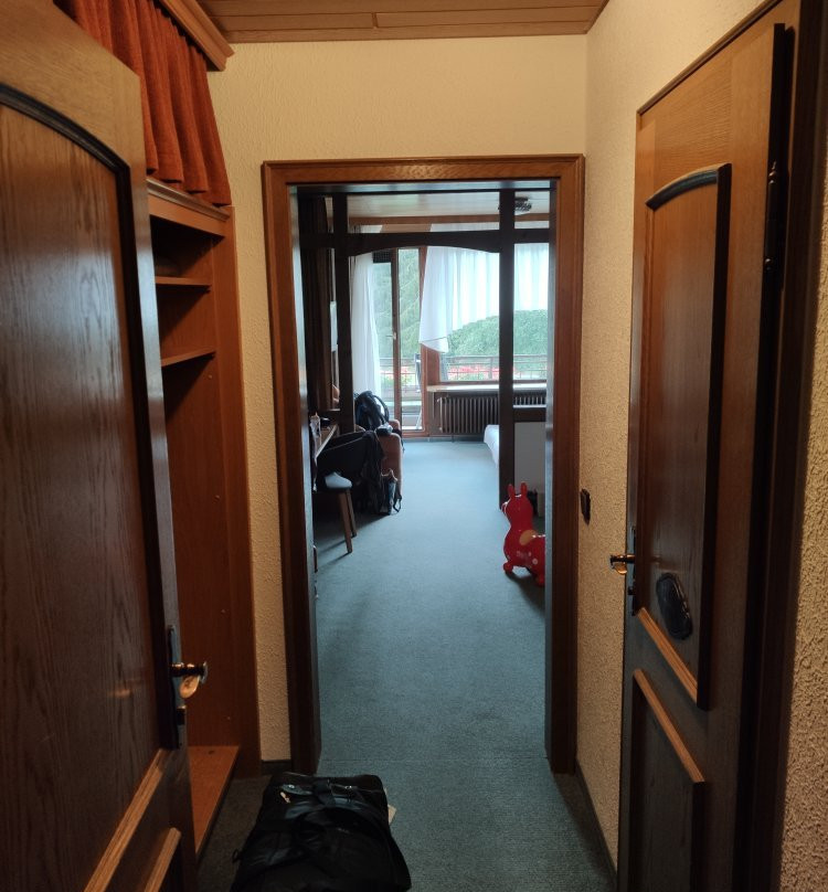 Schwarzwaldhotel Ruhbuehl主图