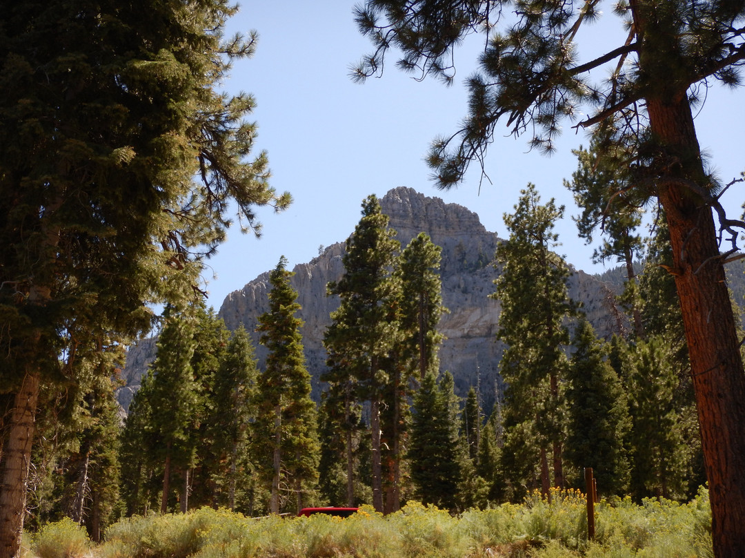 Spring Mountains National Recreational Area-Blue Diamond必去景点