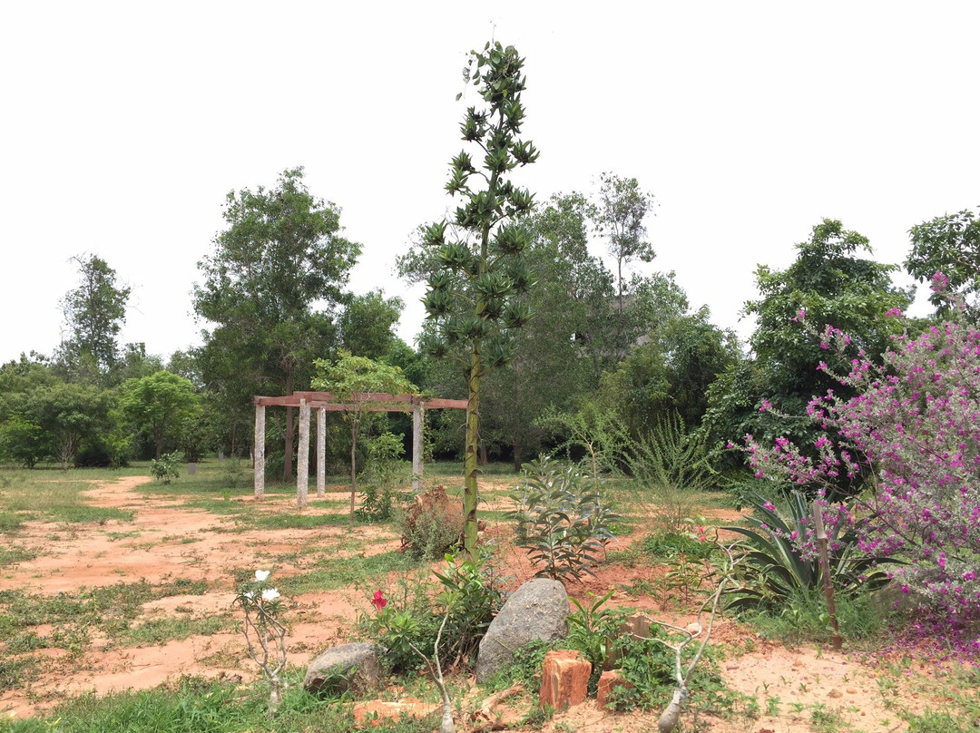 Auroville Botanical Gardens景点图片