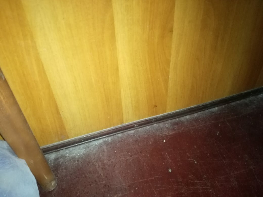 Flora Bay Resort主图