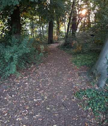 Te Boelaerpark-安特卫普必去景点