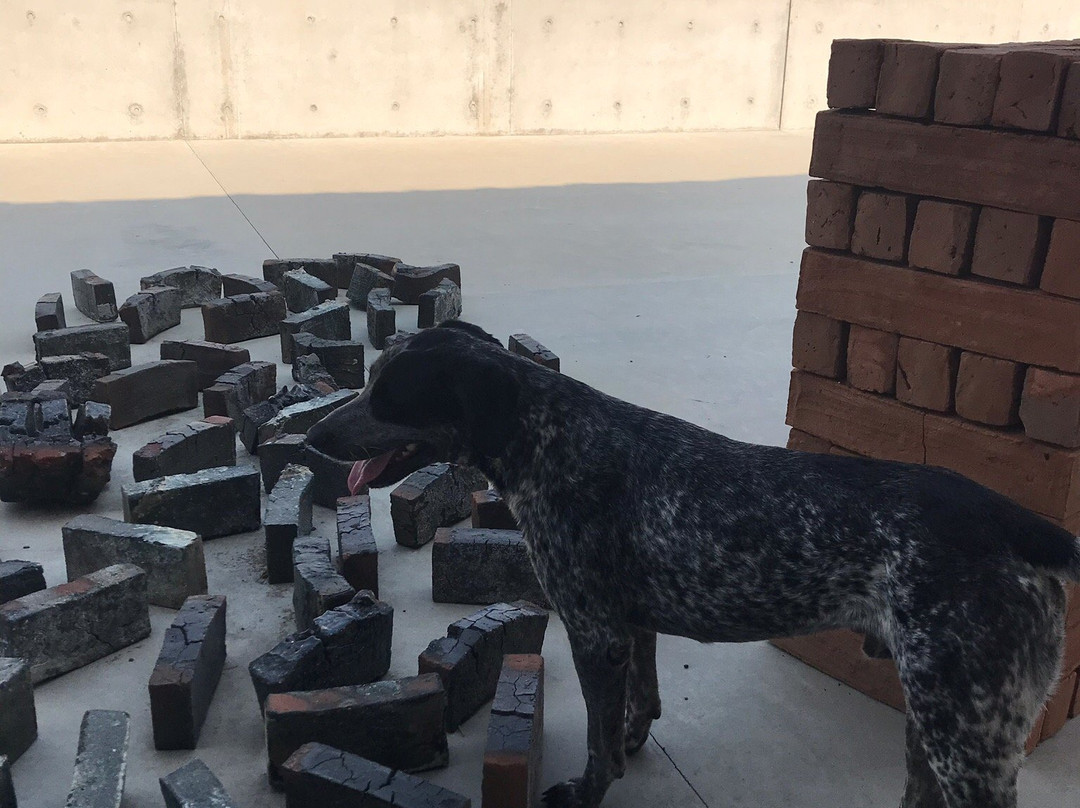 Fundacion Casa Wabi-埃斯孔迪多港必去景点