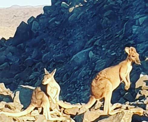 Kimberley 4x4 Tours-库努纳拉必去景点