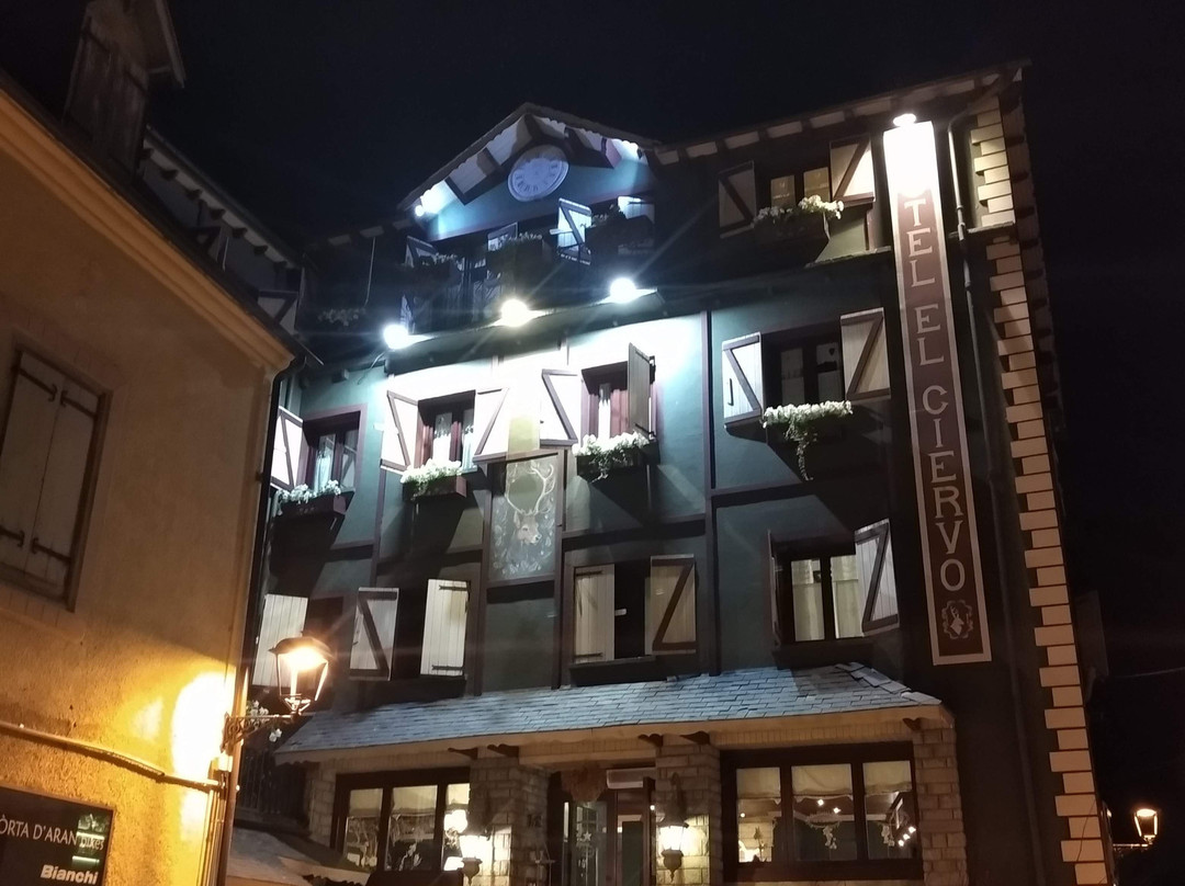 Hotel El Ciervo主图