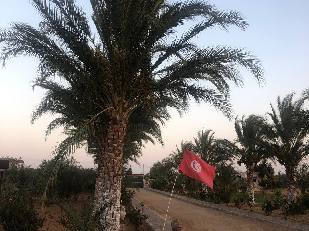 Dar EL Ferdaous主图