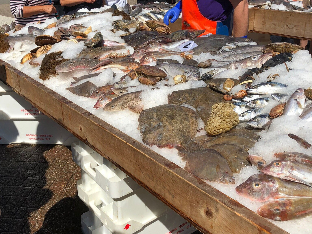 Oudeschild, Texel-特塞尔必去景点