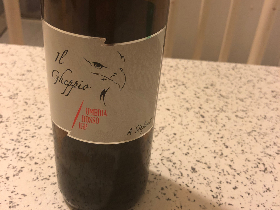 Cantine Il Gheppio Winery-Montefalco必去景点