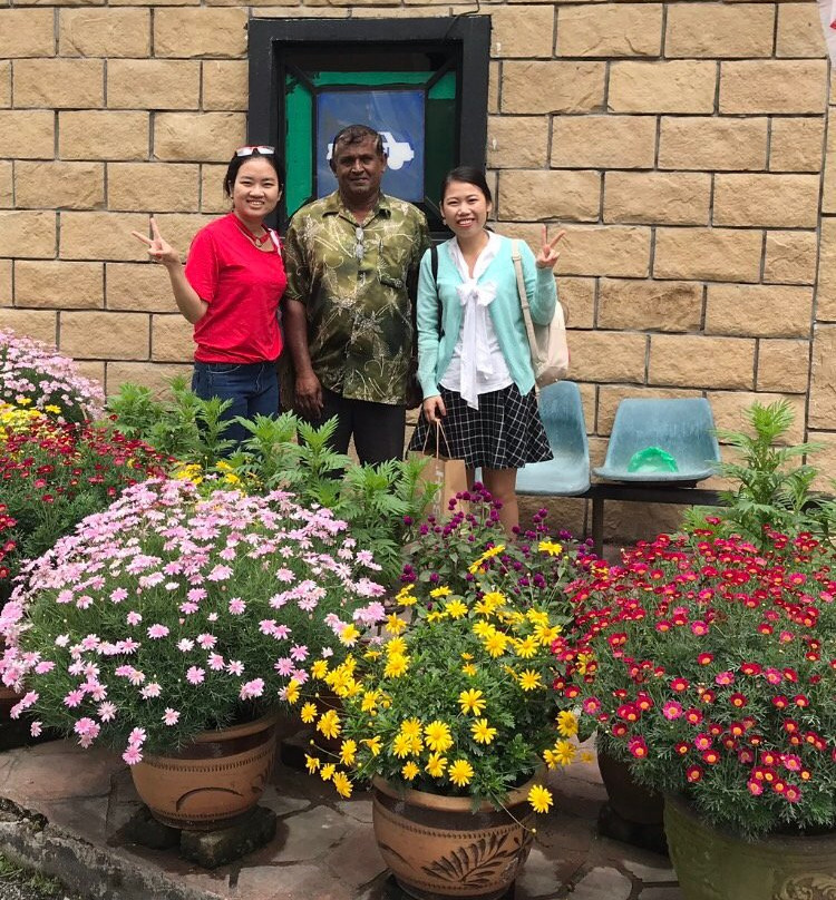 Terminal Freesia-丹那拉塔必去景点