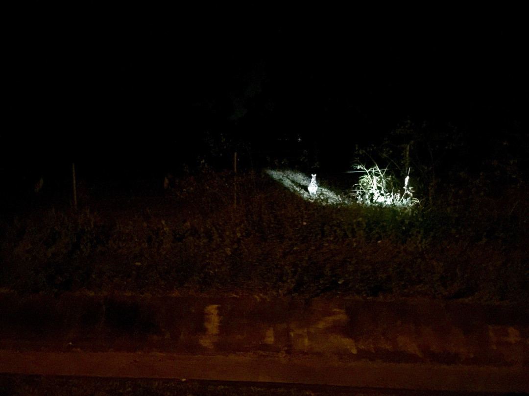 Global Travel Services-凯恩斯必去景点